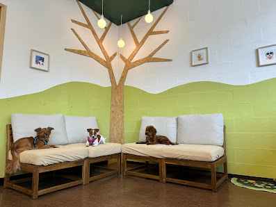 Woofy: Garderie and Pension-Hôtel pour Chien thumb 3
